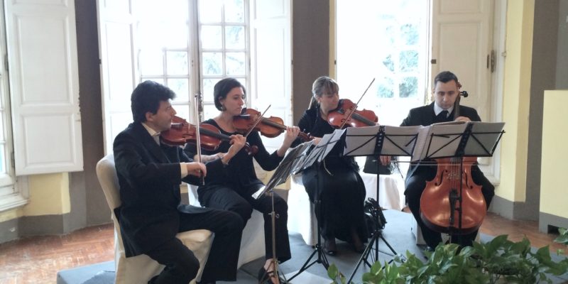 Strings Quartet