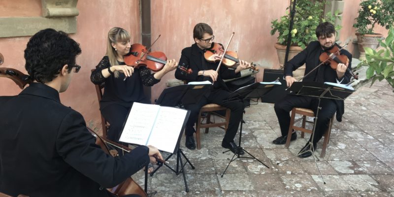 Strings Quartet