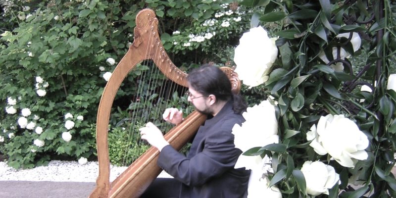 Celtic Harp